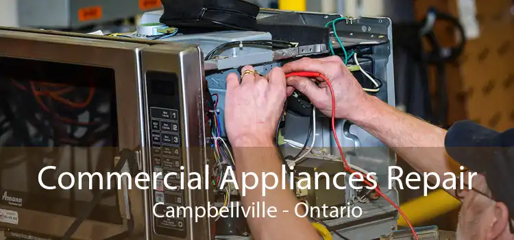 Commercial Appliances Repair Campbellville - Ontario