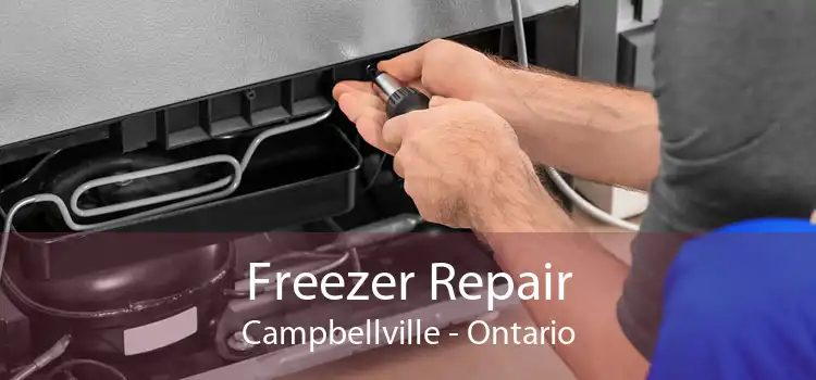 Freezer Repair Campbellville - Ontario