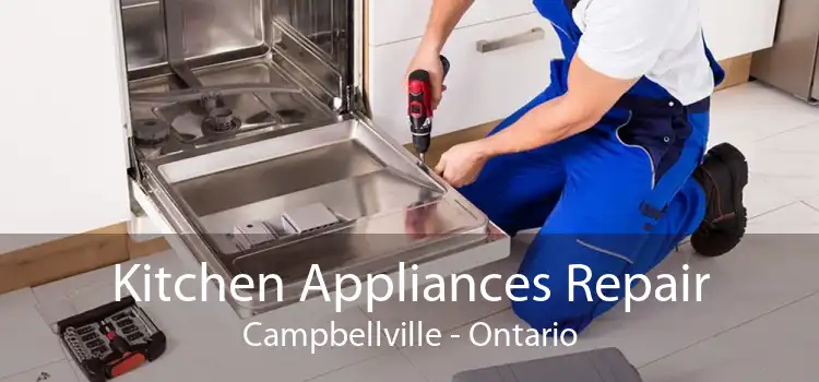 Kitchen Appliances Repair Campbellville - Ontario