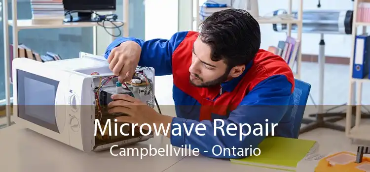 Microwave Repair Campbellville - Ontario