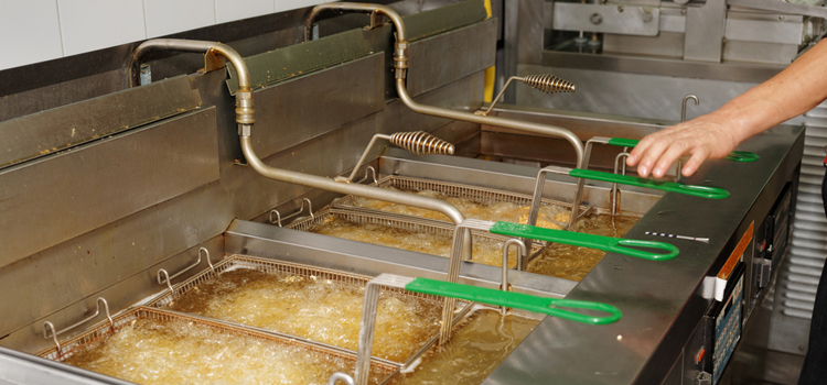 Sub Zero Commercial Fryer Repair in Georgetown