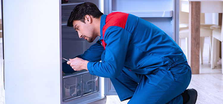 Sub Zero Freezer Repair Services in Georgetown